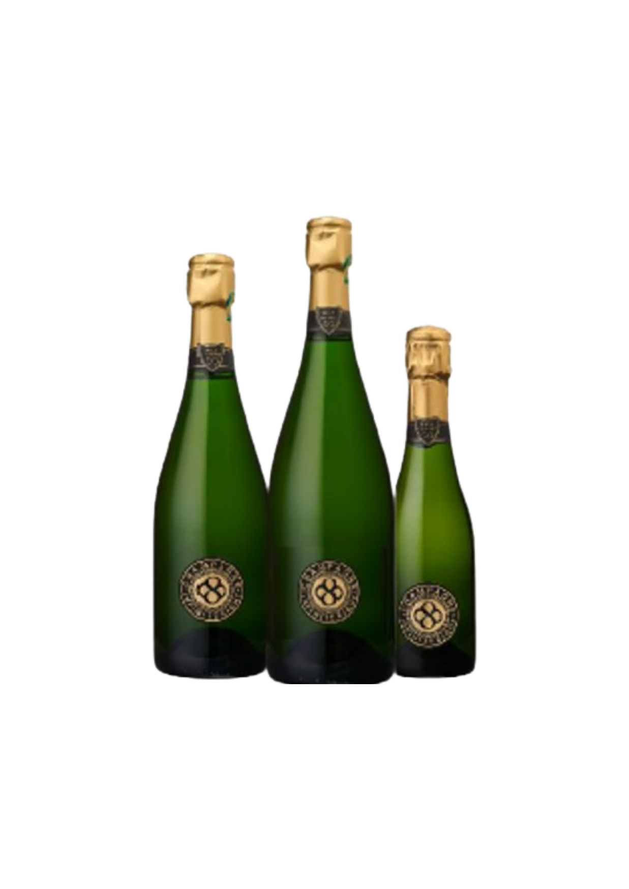 Brut Infinite